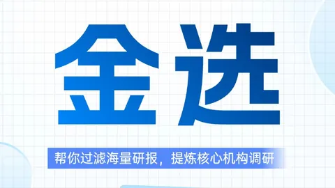 解放者杯对决足球博彩app官网：帕尔梅拉斯迎战弗鲁米嫩塞，攻略解析